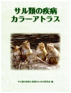 http://www.spdp.jp/archives_images/cover.jpg