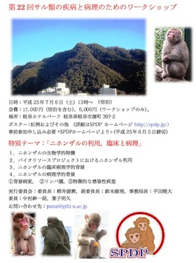 http://www.spdp.jp/special/22thws/poster_SPDPWS_22.jpg