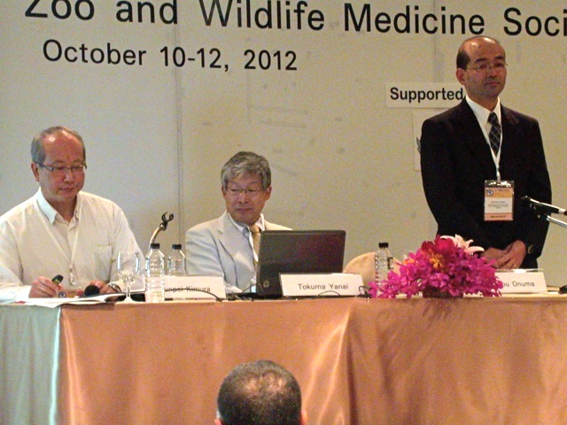 http://www.spdp.jp/special/library/aszwm2012/DSCN1397.jpg