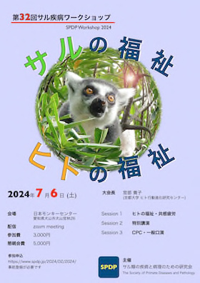 mp2024.jpg